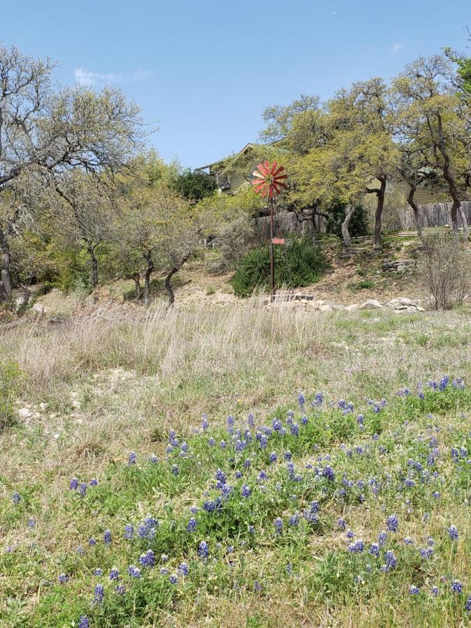 Cabin Sweet Cabin Canyon Lake Bagian luar foto